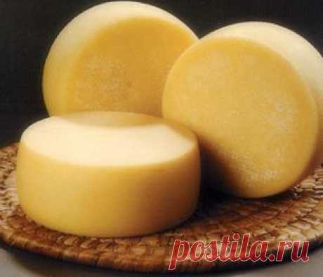 Качотта - рецепт приготовления сыра в домашних условиях