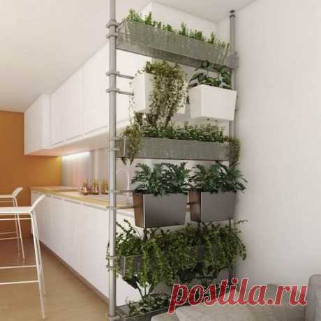 10 гениальных способов вертикального хранения растений в доме | Дневник архитектора | Яндекс Дзен