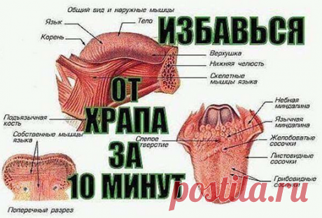 САМОЕ ИНТЕРЕСНОЕ В СЕТИ!: Как за 10 минут избавиться от храпа надолго! Невероятный эффект!