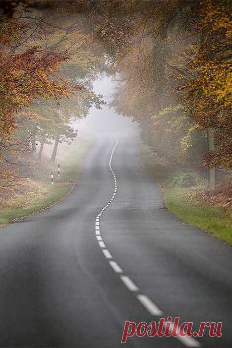 Open Road　by Tony Dudley 500pix | Tree &amp;amp; Path