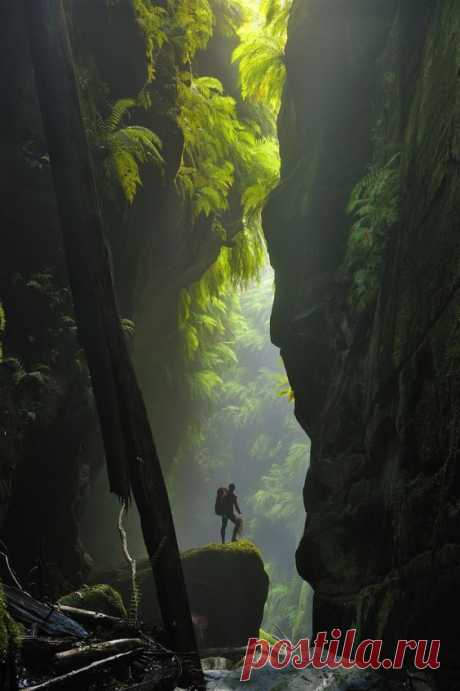 (2089) Claustral Canyon in the Blue Mountains | 34 Reasons Australia Is The Most Beautiful Place On Earth | Earth is a Paradise