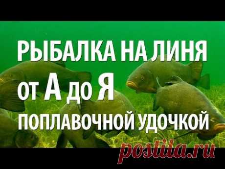 РЫБА ЛИНЬ на ПОПЛАВОЧНУЮ УДОЧКУ - ОСОБЕННОСТИ РЫБАЛКИ на ЛИНЯ