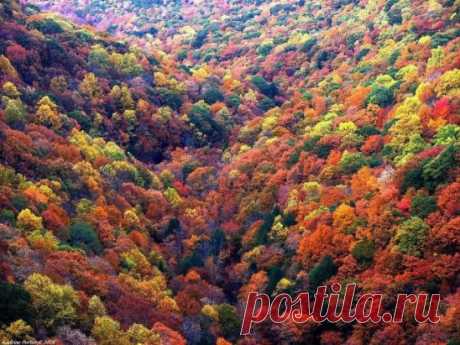 Осень в Грузии