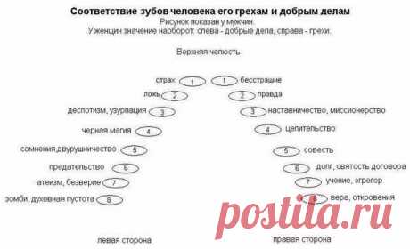 Запись на стене ЗНАЧЕНИЕ КАЖДОГО ЗУБА Что такое зубы с точки зрения кармы предков?Зубы каждого человека - это связь с его предками. Каждый зуб - это предок. Каждый зуб - это тот изед предка, который нас защищает.Зуб по своему строению подобен человеку или дереву, т.к. у зуба есть корень и есть ст..