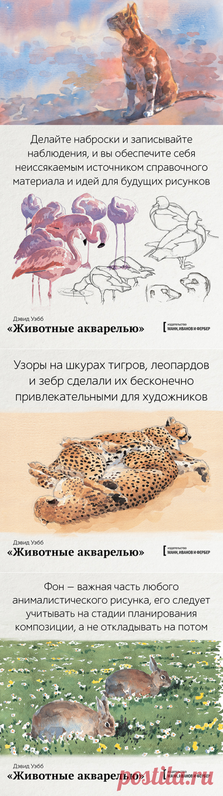 «Животные акварелью» —  пособие по анималистике. Дэвид Уэбб составил 8 пошаговых уроков для всех, кто давно мечтал создать портрет кота. Вы научитесь изображать пушистых и хвостатых, рисовать пятна, полоски, усы, лапы и хвост. И сможете передать характер, который есть у каждого домашнего питомца и дикого зверя. Сделали открытки по книге — мурчащие, рычащие, пятнистые. Забирайте!