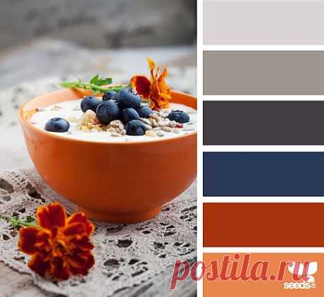 Design Seeds® | find your palette