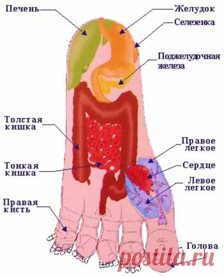 Лилия: Здравствуйте, Валентина! Я - модератор, и…