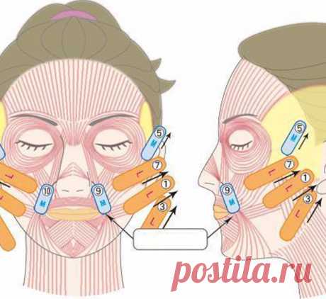 Простая техника моделирования лица Кадзуки Рэйко: молодеем на глазах! Экология красоты: Инновационный метод, разработанный японским врачом Кадзуки Рэйко, позволяет добиться безоперационного лифтинга лица с помощью