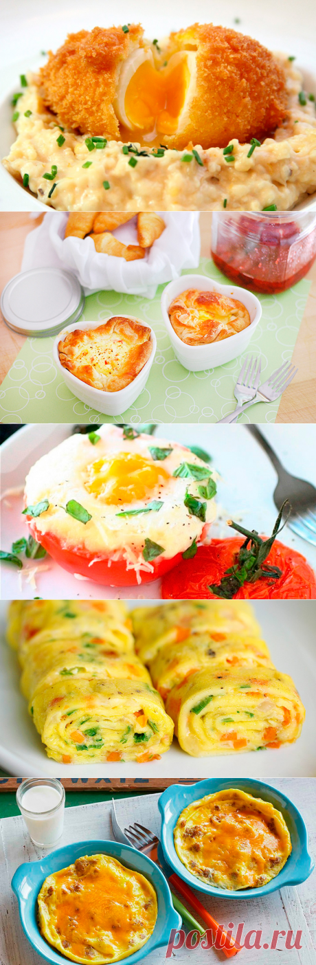 5 идеальных завтраков из яиц
