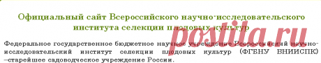 Всероссийский научно-исследовательский институт селекции плодовых культур