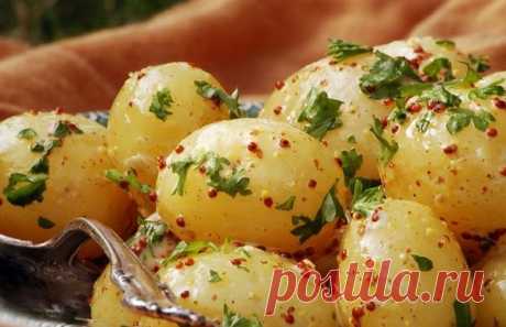 Горчичный картофельный салат | Приготовь-ка :) | Яндекс Дзен