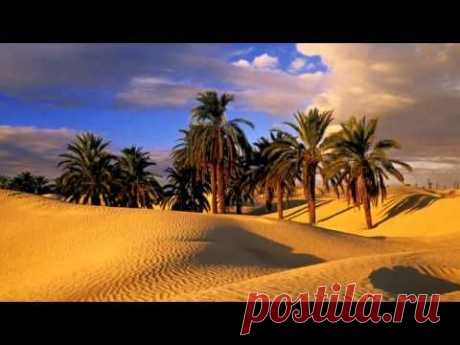 Arabian Music | Desert Oasis | Sleep, Study, Relax, Meditation - YouTube