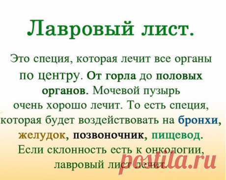 ЛАВРОВЫЙ ЛИСТ В ПОМОЩЬ  

Именно остеохондроз является причиной боли в спине в 80% случаев
Для тех, у кого застарелый остеохондроз, лучше любых мазей из аптеки помогают средства на основе лаврового листа.

Вот отличные рецепты:

1) Лавровое масло. Залить стаканом оливкового масла 1 ст. ложку мелко нарезанных лавровых листьев и настаивать 15 дней в теплом месте. Лучше всего втирать масло в больные места на ночь, а потом тепло укутываться.

2) Настой. Взять 1 ч. ложку измель...