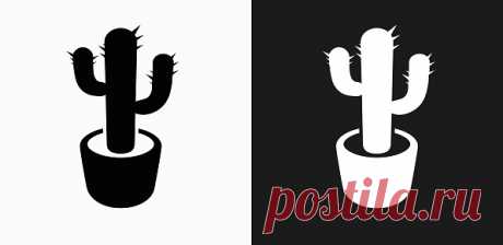 Cactus Plant Icon on Black and White Vector Backgrounds. This vector... Cactus Plant Icon on Black and White Vector Backgrounds. This vector illustration includes two variations of the icon one in black on a light background on the left and another version in white on a...