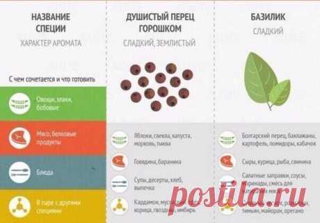 Шпаргалка по специям С чем сочетаются специи