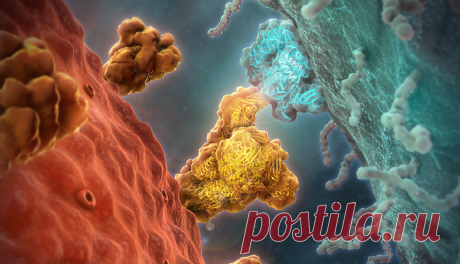 Американские ученые выявили набор наиболее сильных антител к коронавирусу | Здоровье