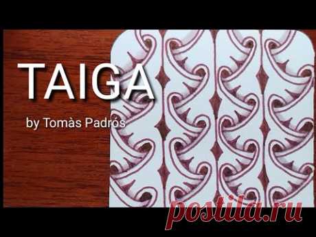 Easy  to draw Tangle Pattern 'TAIGA' ,zentangle