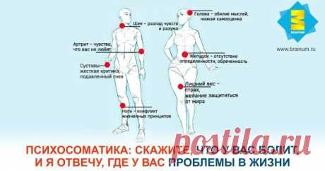 Психосоматика: скажите, что у вас болит, и я отвечу, где у вас проблемы в жизни - Brainum