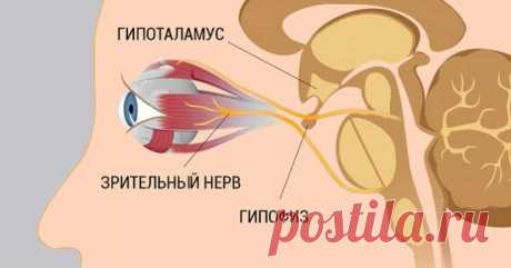 8 шагов, которыe помогут восстановить зрение - Животик ОК!