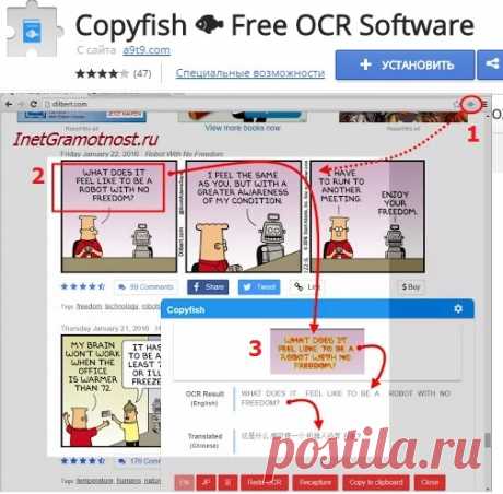 Copyfish для Chrome как перевод текста с картинки онлайн