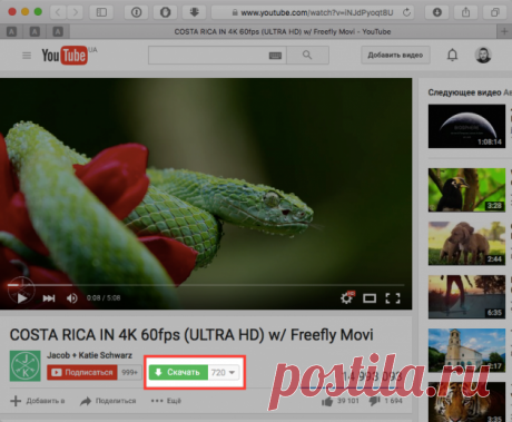 Как скачать с Youtube любой ролик