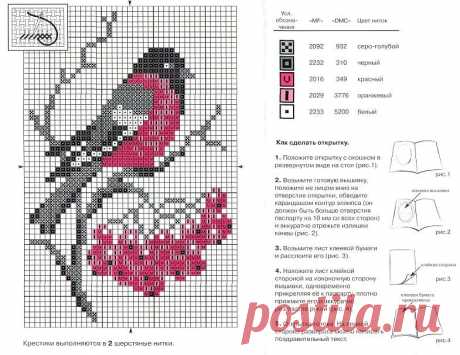 Схема снегиря для вышивки и вязания — Сделай сам, идеи для творчества - DIY Ideas