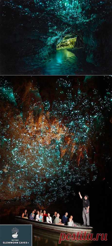 Звездное небо пещеры Уэйтомо Глоуворм « Крутая тема: самые интересные фото, видео, вещи и явления со всего света