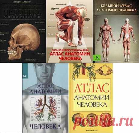 Атлас анатомии человека в 5 книгах (2003-2016) DjVu, PDF Человеческое тело построено удивительно сложно, в нем насчитывается 700 мышц, 206 костей и бесчисленное множество клеток и тканей. Изучить и запомнить их очень трудно. "Атлас анатомии человека" дает ясное и четкое представление об анатомии человека.Список книг:Эдуард Алкамо - Атлас