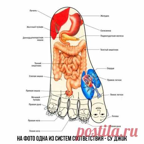 Массаж ступней от большинства проблем со здоровьем! Простая техника. | Натуральная косметика Miraflores | Дзен