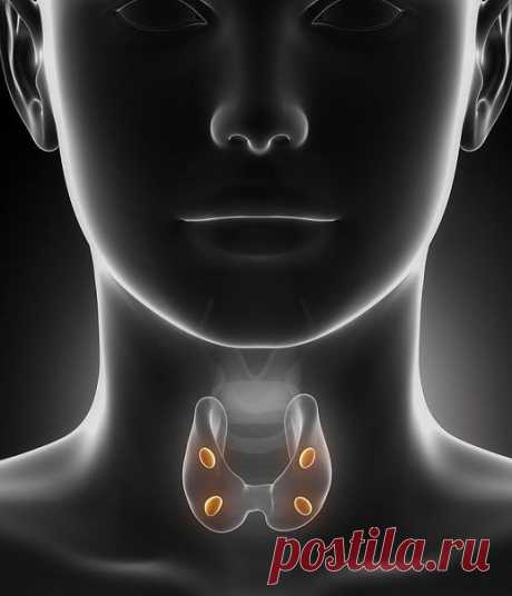Как проблемы щитовидки отражаются на коже — Мегаздоров