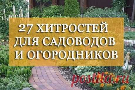 27 хитростей для садоводов и огородников:
1. Свекла любит полив методом дождевания и частые, но осторожные рыхления.
2. После второго прореживания свеклу подкармливают минеральными удобрениями.
3. Лучше всего свекла растет на нешироких грядках, шириной в 3 ряда максимум с расстояниями между растениями от 15-17 см.
4. Пока у моркови не появились всходы, ее поливают регулярно. Когда появятся всходы, 12-15 дней лучше не поливать, за исключением засушливых дней. Это дает возмо...