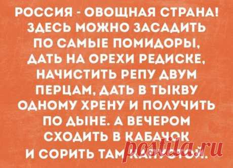 Мой Мир@Mail.Ru