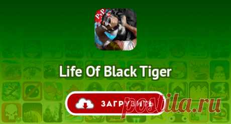 Life Of Black Tiger