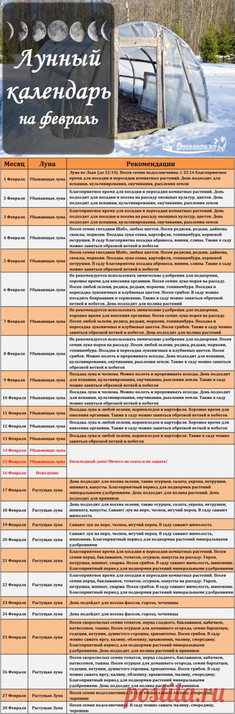 Лунный посевной календарь на февраль 2018 года