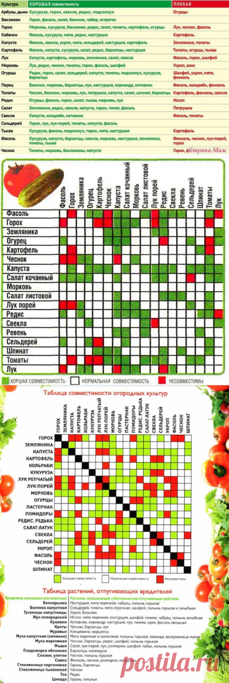 Cовместимость культур. Полезные таблицы.