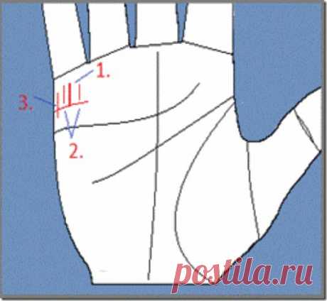Хиромантия: Линии будущих детей.