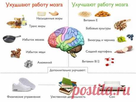 8 продуктов, которые сделают вас умнее: