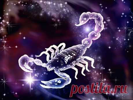 Знак Зодиака Скорпион: 40 удивительных фактов, которые вы могли не знать | PRO.Астрологию | Дзен