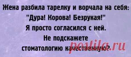 (34) А жизненно... - ЭпиЦентр позитива - 2 февраля - 43989281822 - Медиаплатформа МирТесен