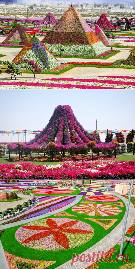 Прогулка по уникальному цветочному саду в Дубае | Все о туризме и отдыхе