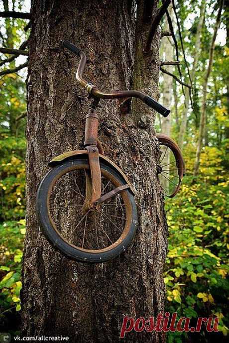 Олег Билоченко – Google+ - Мальчик оставил свой велосипед прикованным к дереву когда…