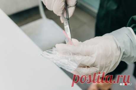 В больницы Самарской области доставляли контрафактные нитриловые перчатки 7 апреля 2021 | 63.ru - новости Самары