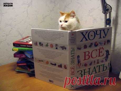 Хотите мыслить шире, читайте! 58 книг, которые научат вас этому!