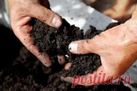 Как узнать тип почвы, и зачем это нужно | Огород без хлопот