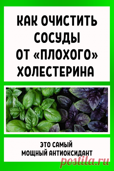 Как очистить сосуды от «плохого» холестерина в домашних условиях. Это самый мощный антиоксидант