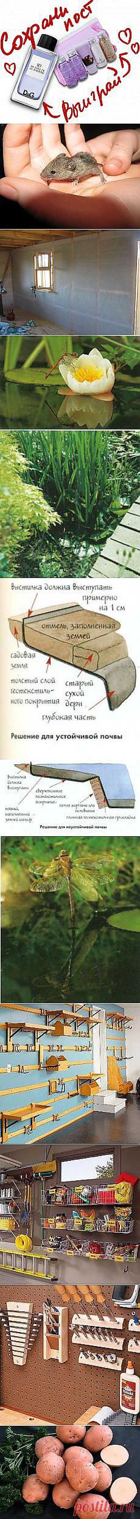 Николай Леонидович: Дача | Постила.ru