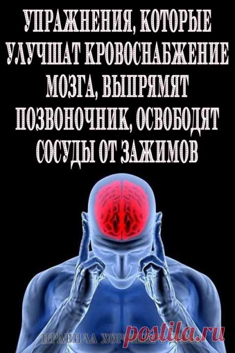 Упражнения, которые улучшат кровоснабжение мозга, выпрямят позвоночник, освободят сосуды от зажимов - Упражнения и похудение