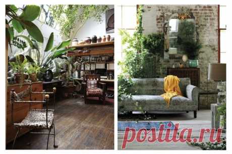 Бохо-стиль: как украсить дом с помощью растений — Полезные советы