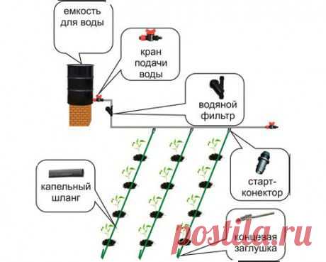 Капельный полив на даче своими руками: самодельная система из пластиковых бутылок