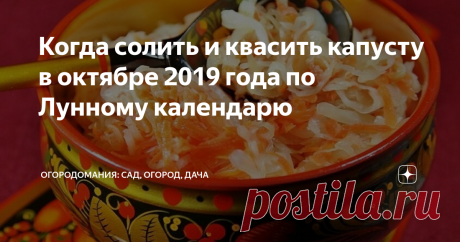 Когда солить и квасить капусту в октябре 2019 года по Лунному календарю Октябрь является самым оптимальным временем для уборки урожая капусты на приусадебном участке. Капусту убирают не только в свежем виде, но также квасят и солят. Когда это лучше всего делать в октябре 2019 года по Лунному календарю, узнаете из нашей публикации.